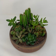 Load image into Gallery viewer, Cactus Arrangement
