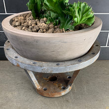 Load image into Gallery viewer, Industrial Cactus
