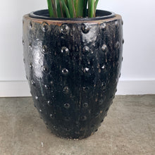 Load image into Gallery viewer, Rustic Bird of Paradise
