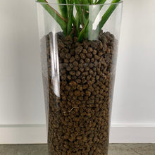 Load image into Gallery viewer, Glass Split Leaf
