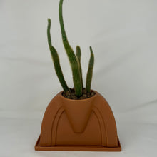 Load image into Gallery viewer, Cactus

