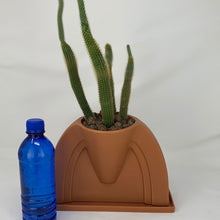 Load image into Gallery viewer, Cactus
