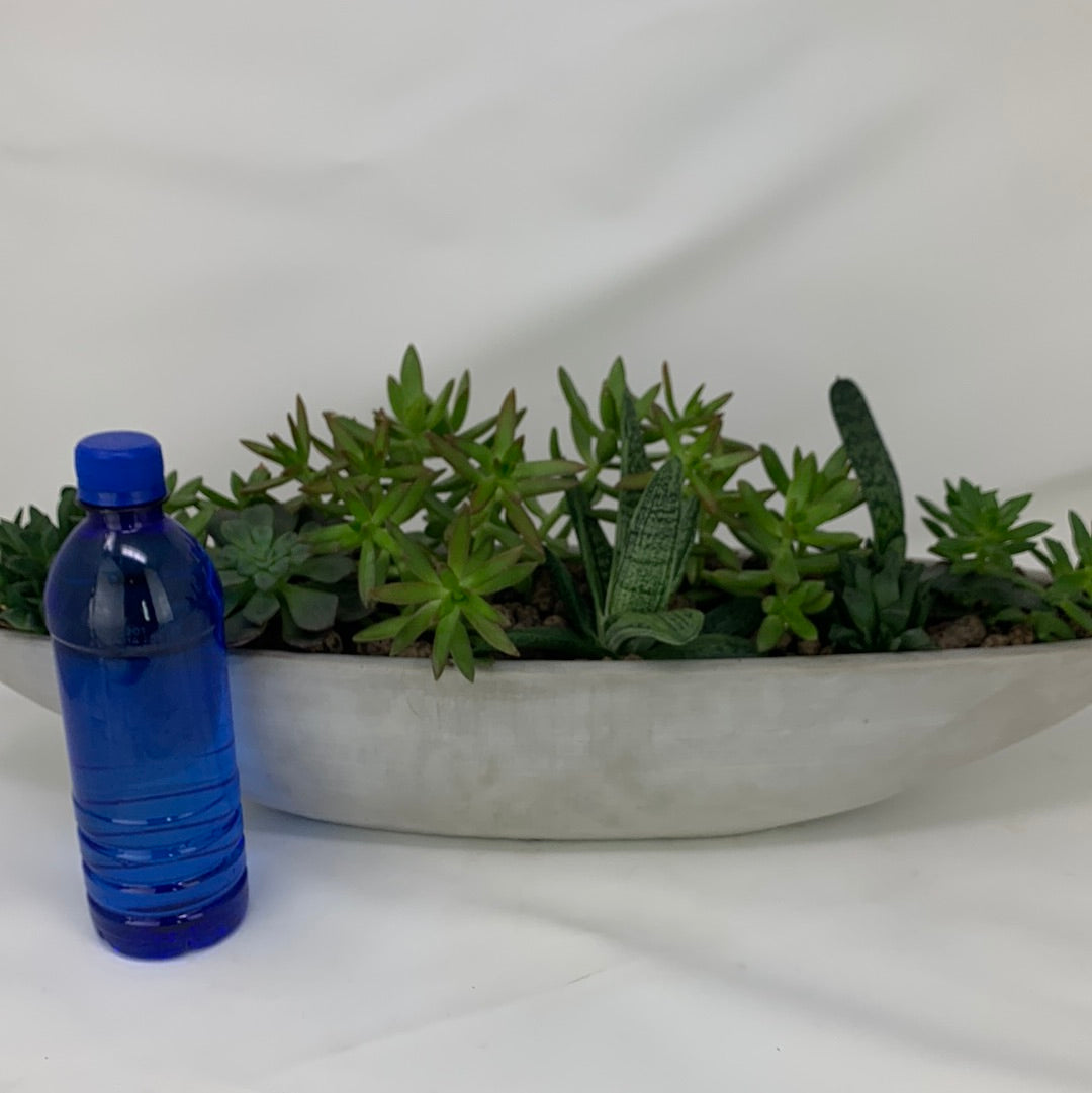 boat shaped planter pot Succulent Boat – GOAT CITY PLANT DESIGN