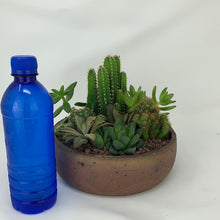 Load image into Gallery viewer, Cactus Arrangement
