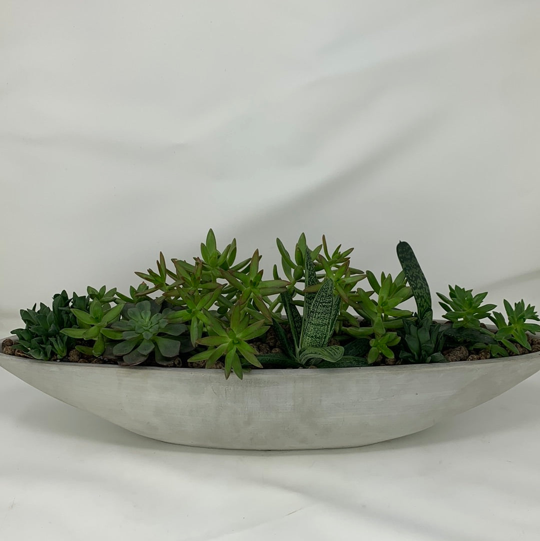 boat shaped planter pot Succulent Boat – GOAT CITY PLANT DESIGN