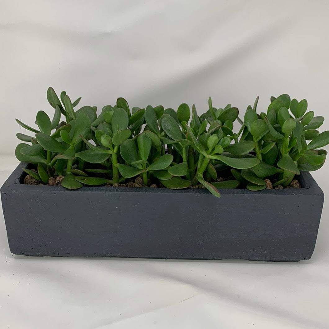 Jade